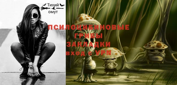 молекула духа Надым