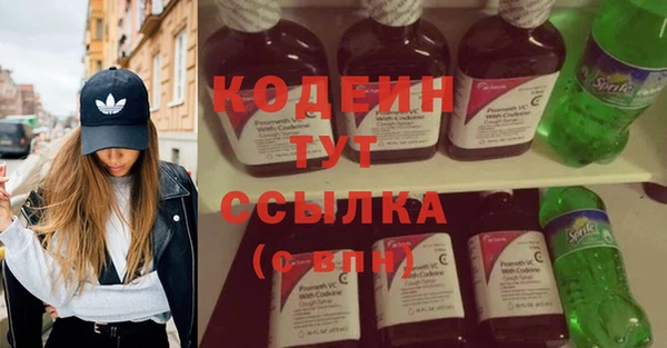 молекула духа Надым